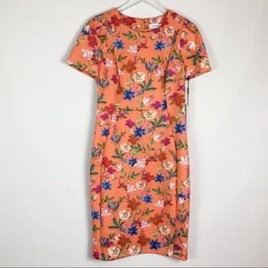 Calvin Klein Orange Floral Scuba Sheath Dress
